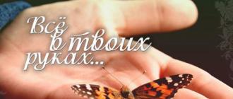 Притча о бабочке: все в твоих руках